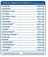 Sport Organic Plant-Based Protein - Čokoláda 912g.